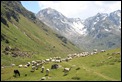 IMG_7005_Pyrenees