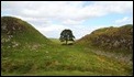 J01_0023 Sycamore Gap