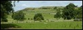 P1020655 Dry stone walls