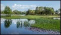 Hatchet Pond