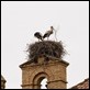 Nest construction