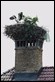 J16_1308 Stork nest