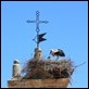 _MG_8431 Soria storks