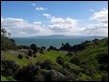 Coromandel