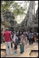 MG_4465-Ta-Phrom_thumb.jpg