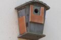 old-nest-box.jpg