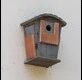 old-nest-box_thumb.jpg