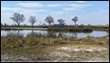 Hippo pool