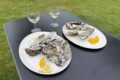 Oysters.jpg