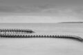 Serpent-dOcean-1-of-2.jpg