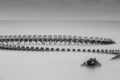 Serpent-dOcean-2-of-2.jpg