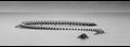 Serpent-dOcean-2-of-2_thumb.jpg