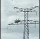 IMG-20250603-WA0002_thumb.jpg