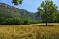 Millau-pitch-view.jpg