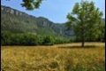 Millau-pitch-view_thumb.jpg
