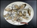 Oysters2