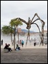 Guggenheim spider