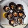 Scallops