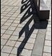 Haro-shadow_thumb.jpg