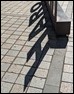 Haro shadow