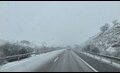 Snow_thumb.jpg