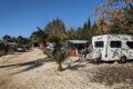 Sunny-campsite.jpg