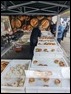 Pieman