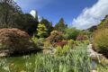 Sizergh-gardens-1.jpg