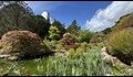 Sizergh-gardens-1_thumb.jpg