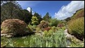 Sizergh gardens 1