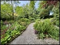 Sizergh gardens 2