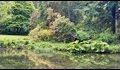 wildlife-pond_thumb.jpg