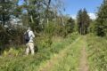 wildlife-track.jpg