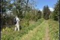 wildlife-track_thumb.jpg
