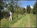 wildlife track