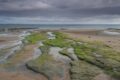 Dunstanburgh-beach.jpg
