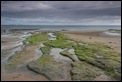 Dunstanburgh beach