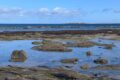 Inner-Farne.jpg