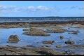 Inner-Farne_thumb.jpg
