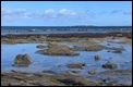 Inner Farne