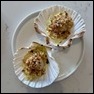Scallops